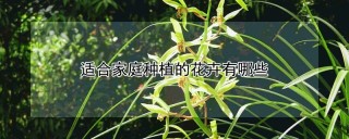 适合家庭种植的花卉有哪些,第1图