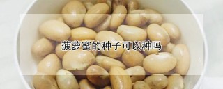 菠萝蜜的种子可以种吗,第1图