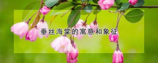 垂丝海棠的寓意和象征,第1图