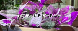 油画吊兰越长越高怎么办,第1图