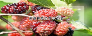 果桑种植技术与管理,第1图