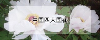 中国四大国花,第1图