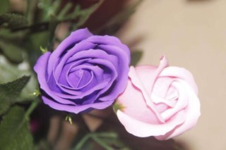 紫色玫瑰代表什么意思,第3图