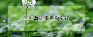 三叶草的寓意和象征,第1图