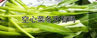 空心菜冬天有吗,第1图