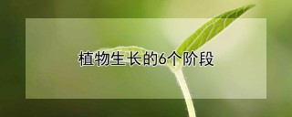 植物生长的6个阶段,第1图