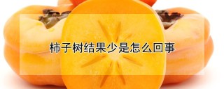 柿子树结果少是怎么回事,第1图