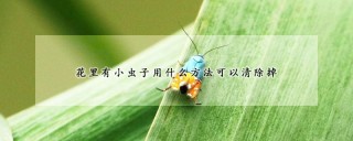 花里有小虫子用什么方法可以清除掉,第1图