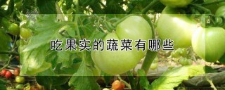 吃果实的蔬菜有哪些,第1图