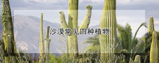 沙漠常见四种植物,第1图