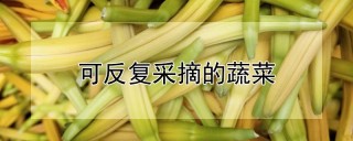 可反复采摘的蔬菜,第1图