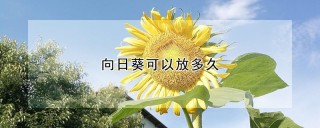 向日葵可以放多久,第1图