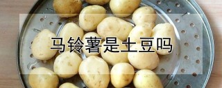 马铃薯是土豆吗,第1图
