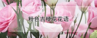 粉色吉梗花花语,第1图