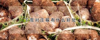 芋头怎么正确保存,第1图