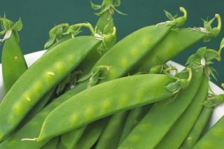 荷兰豆的种植方法和时间,第3图