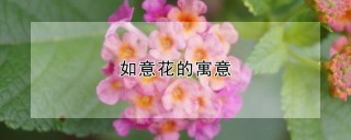 如意花的寓意,第1图