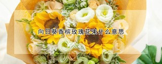 向日葵香槟玫瑰花束什么意思,第1图