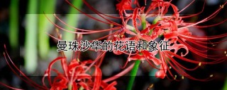 曼珠沙华的花语和象征,第1图