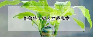 格鲁特小树人盆栽寓意,第1图