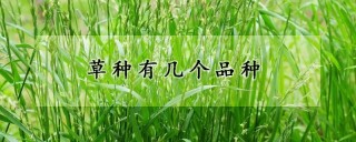 草种有几个品种,第1图