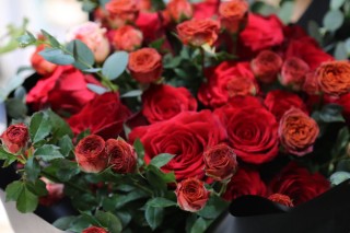 33朵红玫瑰的花语,第2图