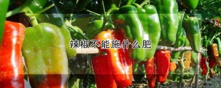 辣椒不能施什么肥,第1图