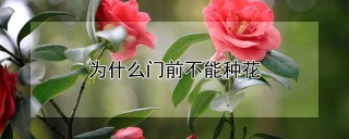 为什么门前不能种花,第1图