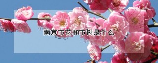 南京市花和市树是什么,第1图