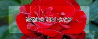 结婚纪念日送什么花好,第1图