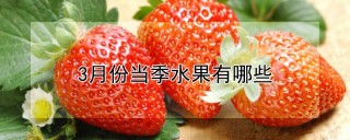 3月份当季水果有哪些,第1图