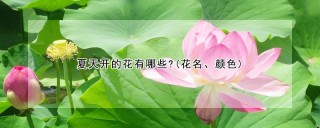 夏天开的花有哪些?(花名、颜色),第1图