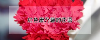 红色康乃馨的花语,第1图
