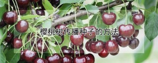樱桃树传播种子的方法,第1图