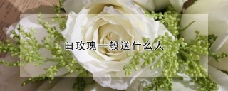 白玫瑰一般送什么人,第1图