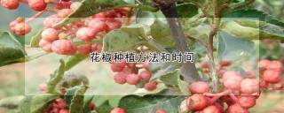 花椒种植方法和时间,第1图