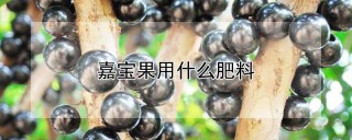 嘉宝果用什么肥料,第1图