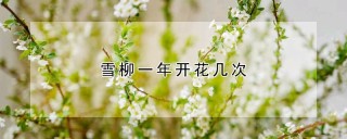 雪柳一年开花几次,第1图