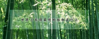 世界上长得最快的植物是什么,第1图