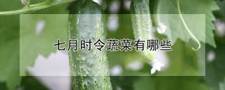 七月时令蔬菜有哪些,第1图