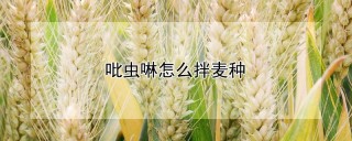 吡虫啉怎么拌麦种,第1图