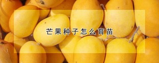 芒果种子怎么育苗,第1图