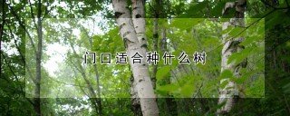 门口适合种什么树,第1图