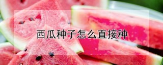 西瓜种子怎么直接种,第1图