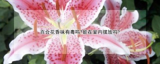 百合花香味有毒吗?能在室内摆放吗?,第1图