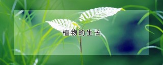 植物的生长,第1图