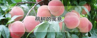 桃树的寓意,第1图