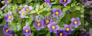 藻百年花语,第1图