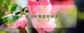 喜阴耐寒庭院树木,第1图