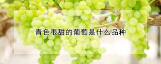 青色很甜的葡萄是什么品种,第1图